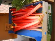 Rhubarb